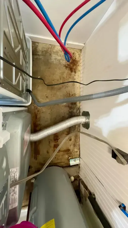 Water-stained panel and supply hoses behind an appliance after a slow leak